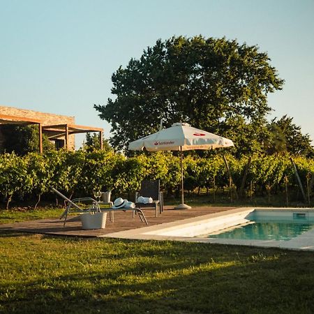 Progreso Pizzorno Lodge & Wine מראה חיצוני תמונה