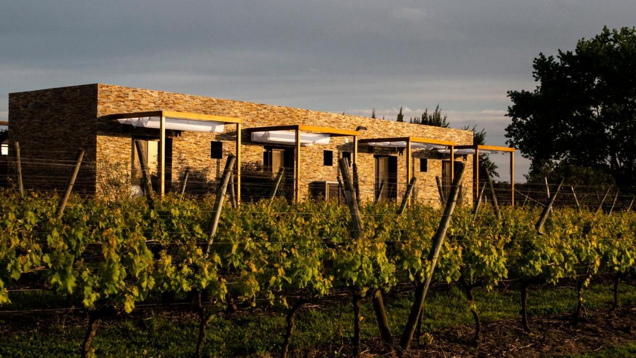 Progreso Pizzorno Lodge & Wine מראה חיצוני תמונה