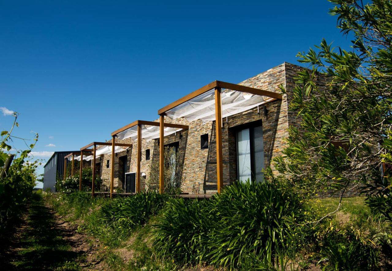 Progreso Pizzorno Lodge & Wine מראה חיצוני תמונה