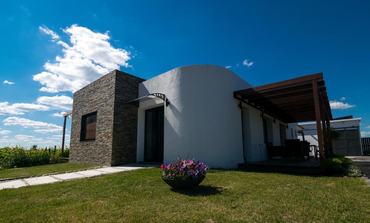 Progreso Pizzorno Lodge & Wine מראה חיצוני תמונה