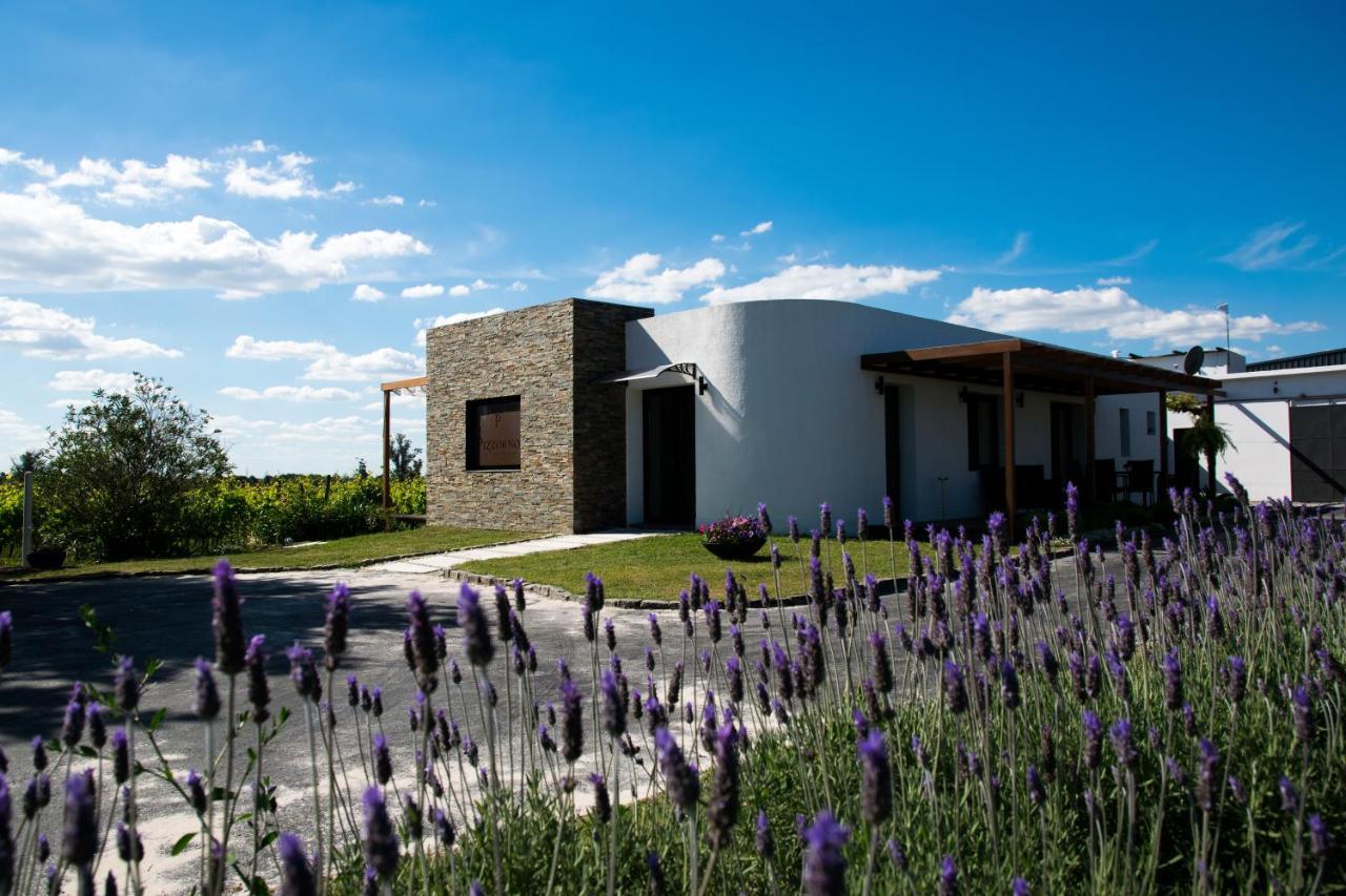Progreso Pizzorno Lodge & Wine מראה חיצוני תמונה